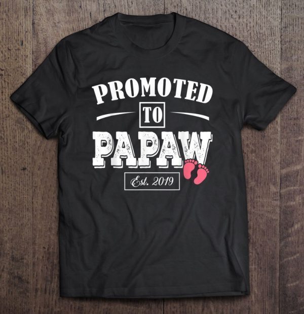 Promoted to papaw est 2019 shirt