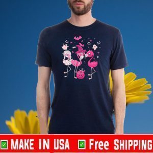 Flamingos Pink Pumpkin Halloween 2020 T-Shirt