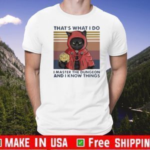 Funny That’s What I Do I Master The Dungeon And I Know Things Vintage 2020 T-Shirt