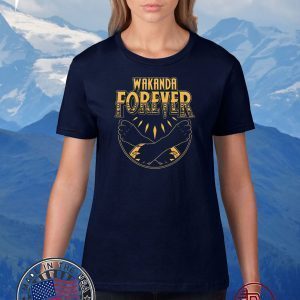 Wakanda Forever Rip Chadwick Official T-Shirt