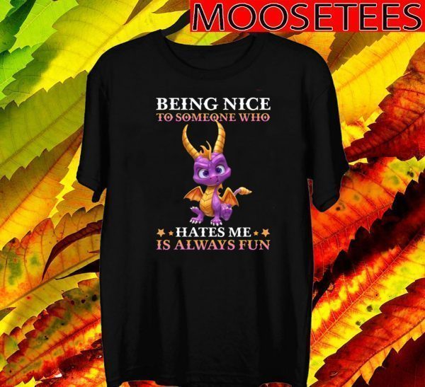 Being Nice To Someone Who Hates Me Is Always Fun 2020 T-Shirt