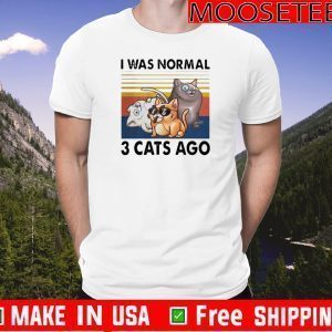 Vintage I Was Normal 3 Cats Ago T-Shirt