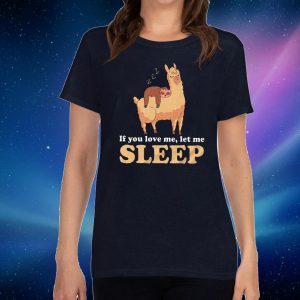 If You Love Me Let Me Sleep 2020 T-Shirt