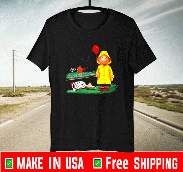 Buy Snoopy And Charlie Brown Pennywise It T-Shirt