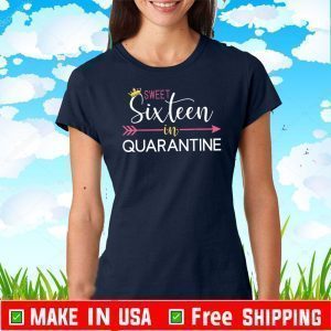 Sweet 16 in Quarantine Birthday T-Shirt