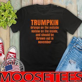 Trumpkin Halloween Anti-Trump Pro Biden Democrat 2020 T-Shirt