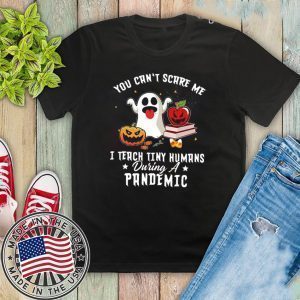 You Can’t Scare Me I Teach Tiny Humans During Pandemic TShirt