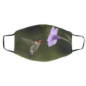 Hummingbirds Face Mask