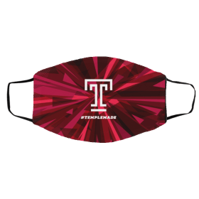 TEMPLE OWLS THIS IS HOW SAVE THE WORLD FILTER FACE MASK