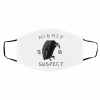 Hi-gh-ly Su-sp-e-ct Face Mask