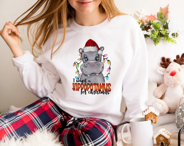 I Want A Hippopotamus For Christmas Shirt, Funny Christmas Gift Sweatshirt, Hippopotamus Shirt, Christmas kid Shirt, Happy Christmas Tee