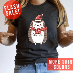 Hedgehog Santa Hat Cute Christmas Shirt, Noel Hat Christmas Party Clothing, Christmas Vibes Apparel, Christmas Holiday Tee, Trendy Xmas Gift