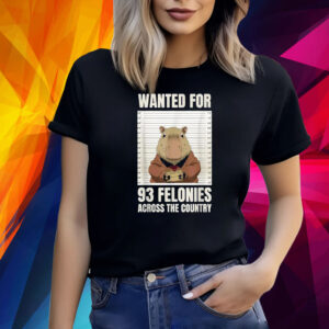 Wanted For 93 Felonies Across The Country Shirts