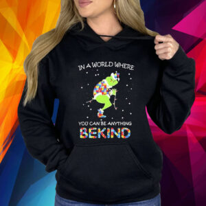 Grinch Autism In A World Where You Can Be Anything Be Kind Christmas 2023 Shirt