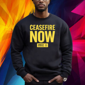 Free Palestine Ceasefire Now Amnesty International Shirt