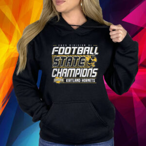 2023 OHSAA Division VI Football State Champions Shirt