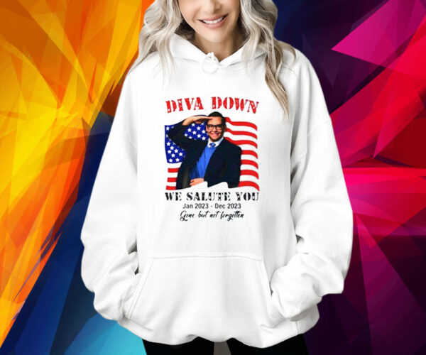 George Santos Diva Down We Salute You Hoodie