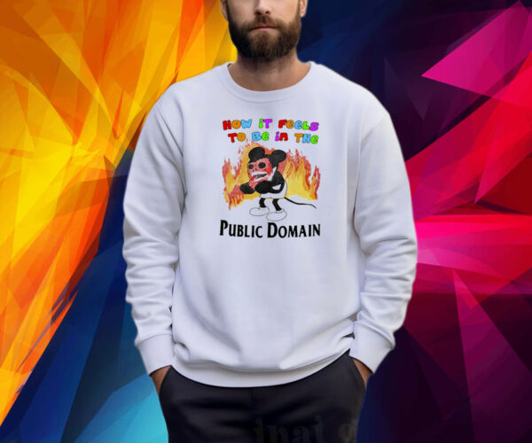 How It Feels To Be In The Public Domain Shirt