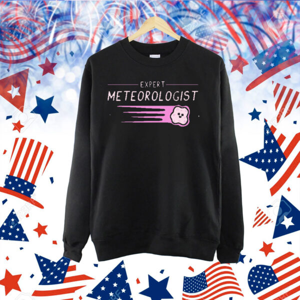Expert Meteorologist t-shirt