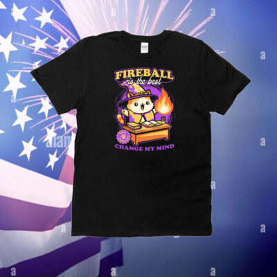 Wizard Cat Fireball Is The Best Change My Mind t-shirt