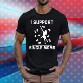 I Support Single Moms t-shirt