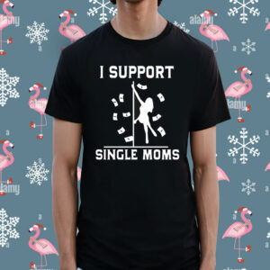 I Support Single Moms t-shirt