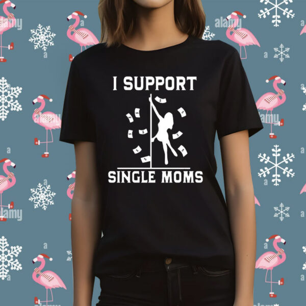 I Support Single Moms t-shirt