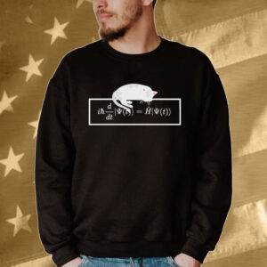 Schrodinger equation cat Shirt