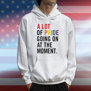 A lot of pride going on at the moment T-Shirt