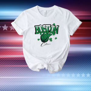 Vintage Boston Celtics logo T-Shirt