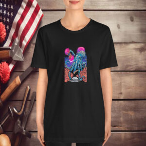 Rainbow Kitten Surprise On Sep 5-6-8 2025 In Colorado Tour T-Shirt