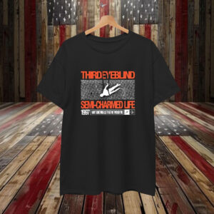 Third Eye Blind Semi Charmed Life Self Titled I Want Something Else To Get Me Though This 1997 T-Shirt