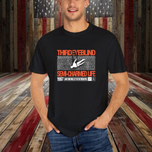 Third Eye Blind Semi Charmed Life Self Titled I Want Something Else To Get Me Though This 1997 T-Shirt