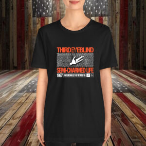 Third Eye Blind Semi Charmed Life Self Titled I Want Something Else To Get Me Though This 1997 T-Shirt