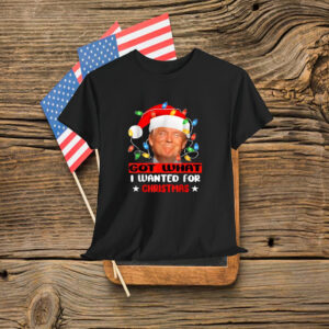 Trump Light Santa Got What I Wanted For Christmas T-Shirt