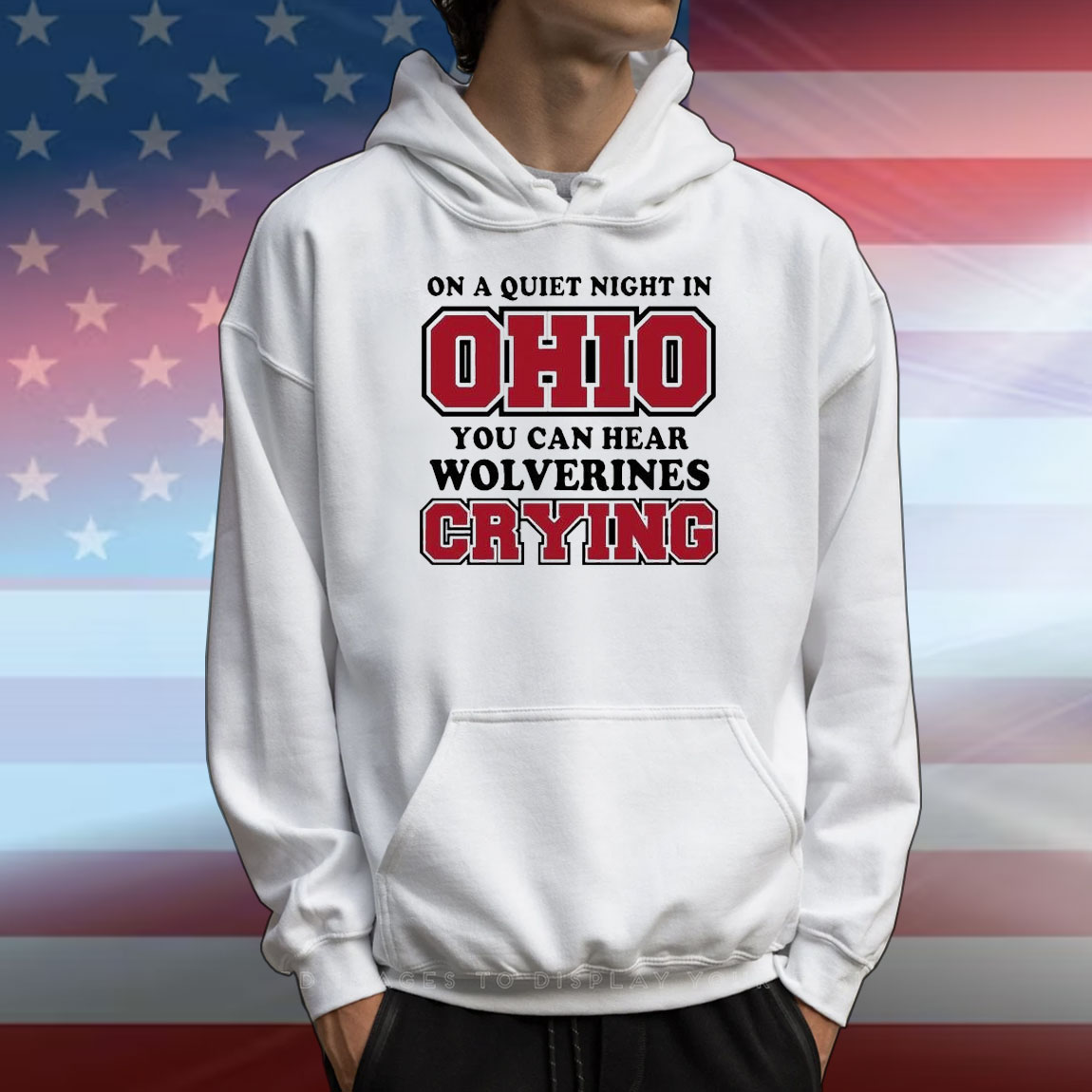 Ohio State Buckeyes On A Quiet Night In Ohio You Can Hear Wolverines Crying T-Shirt