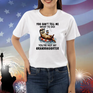 Otter you can’t tell me what to do Shirt