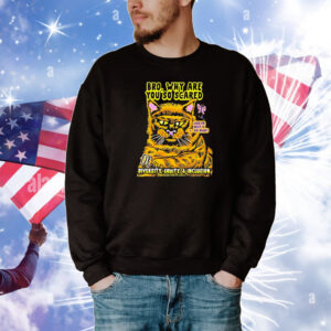 Bro Why You So Scared Of Diversity Equity And Inclusion Like Fr Why U So Mad Cat T-Shirt