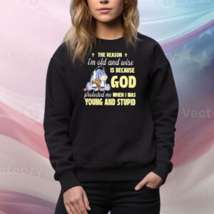 Eeyore Donkey Disney The Reason I’m Old And Wise Is Because God Protected Me When I Was Young And Stupid Tee Shirt