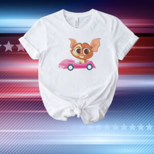 Gizmo cute meme classic T-Shirt