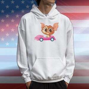 Gizmo cute meme classic T-Shirt