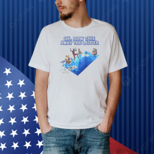 Ok now take the ladder Shirt