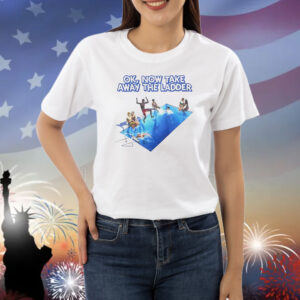 Ok now take the ladder Shirt