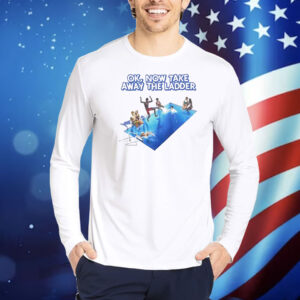 Ok now take the ladder Shirt