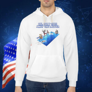Ok now take the ladder Shirt