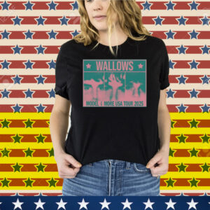 Wallows Info Wallows Model & More Usa Tour 2025 Tee Shirt