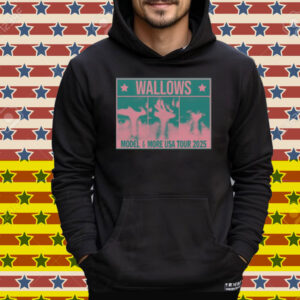 Wallows Info Wallows Model & More Usa Tour 2025 Tee Shirt