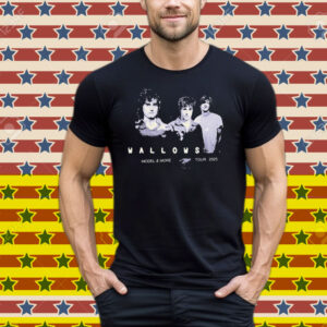 Wallows Model & More Tour 2025 Tee Shirt