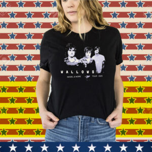 Wallows Model & More Tour 2025 Tee Shirt