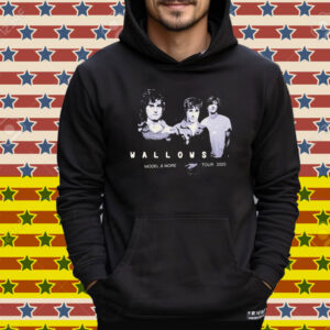 Wallows Model & More Tour 2025 Tee Shirt